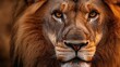 © adibaatmarini - Close-up of a Majestic Lion's Face
