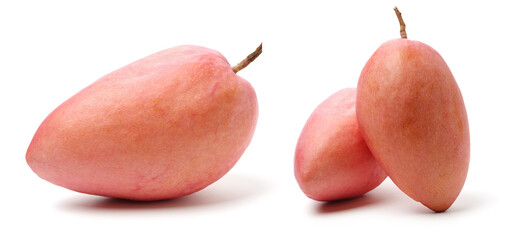 Poster - Pink mango on a white background