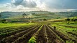 © Chandara - A panoramic view of a scenic organic farm with a farmer working in the fields, showcasing the farmâ€™s commitment to organic practices.
