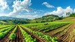 © Chandara - A panoramic view of a scenic organic farm with a farmer working in the fields, showcasing the farmâ€™s commitment to organic practices.