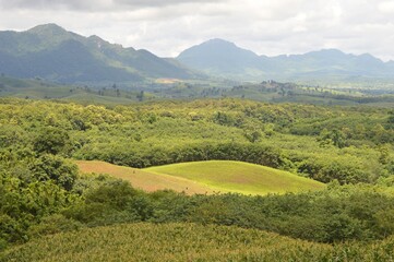 landscape of field and forest in the countryside