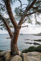 Sticker - Scenic view of the rocky shore of Costa Brava, Spain