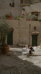 Wall Mural - A young hispanic woman enjoys a sunny day in the charming old town of matera, basilicata, italy, seated at an outdoor cafe surrounded by historic stone buildings and colorful potted plants.