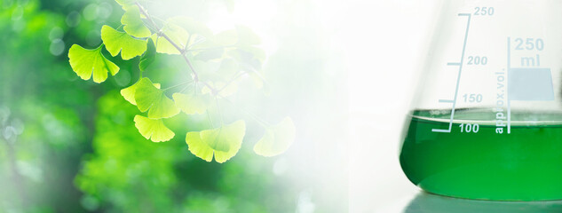 Wall Mural - glass flask with green solution and ginkgo leave for biochemistry lab background