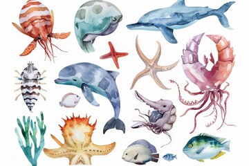 Wall Mural - Set of watercolor colorful underwater sea animal, marine seafood illustration on white background