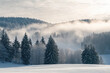 © DreamStock - Beautiful Winter Landscape with Snowy Forest and Cloudy soft clouds White Sky. Distant View of Snow Covered Mountain Hillside and Misty Trees