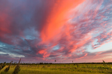 Wall Mural - a beautiful sunset with a pink and orange sky