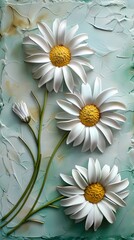 Poster - White Daisies on Textured Green Background.