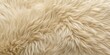 © AK2478 - Soft, plush fur texture in neutral beige tone, with subtle shading and gentle wisps, creating a cozy and serene background or design element.