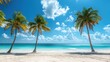 palm trees on the beach