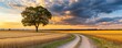 © ParinApril - A serene road winds through golden fields under a dramatic sunset sky, bringing peace and natural beauty to the landscape.