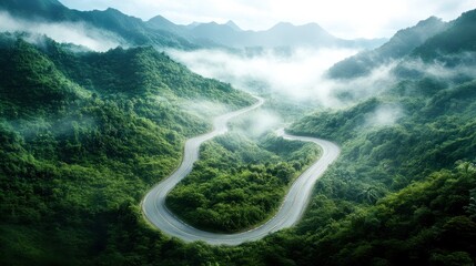 Wall Mural - A serene road meanders through vibrant green hills, enveloped in mist, capturing the tranquil beauty of nature at dawn