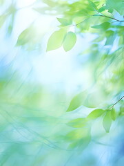 Wall Mural - green leaves in the sun