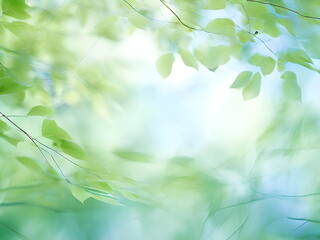 Wall Mural - green leaves in the sun