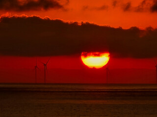 Wall Mural - sunset with red glowing sun and windturbines at the horizon