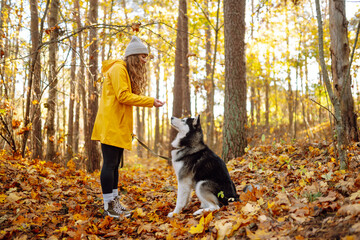 Wall Mural - Woman with dogs in the park in autumn. Outdoor activities with a pet, walk, play.  Husky dog. Friendship, pet and human.