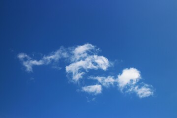 Wall Mural - white cloud with blue sky background	