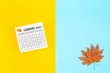 February 2025 calendar and autumn foliage on a yellow and blue. Empty space provided for text or advertising purposes