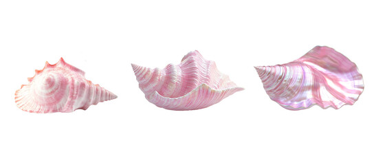 Wall Mural - 3D rendering of a pink seashell on a white background,