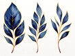 © RUMA - Amazing Set of golden and blue tree leaves on white background.