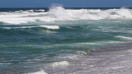 Wall Mural - Ocean Waves On Sand Beach Oblique Angle Bird Flying In Distance Marina California
