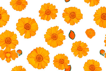 Sticker - Transparent png Marigold flower pattern Diwali festival background