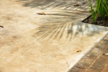 Wall Mural - A concrete sidewalk with a leafy plant in a pot on the right