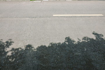 Poster - A road with a white line and a tree casting a shadow on the road