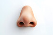 © Oksana - Realistic Human nose 3D  illustration isolated on white