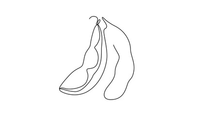 Wall Mural - Animated self drawing of continuous line draw of whole healthy organic green edamame for farming or harvest logo identity. Fresh Japanese pea concept for vegetable icon. Full length one line animation