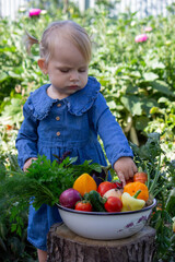 Poster - little girl freshly picked vegetables in a bowl. Selective focus