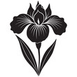 © Design thinking6  - Iris flower vector black and white illustration isolated