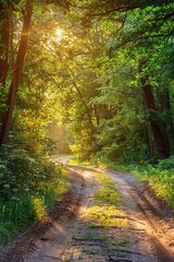 Sticker - A Tranquil dirt road through serene forest on a sunny