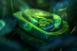 © Edgar Martirosyan - green snake on a branch