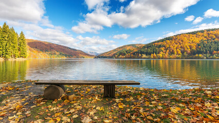 Wall Mural - lake in mountains in autumn. forest in colorful foliage. bench near the shore for relax. beautiful scenery of vilshany reservoir of ukraine on a sunny day