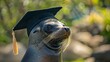 © ChaoticMind - A charming seal dons a black graduation cap, emphasizing nature's playfulness and the juxtaposition of animal behavior with human accomplishments, in a lush outdoor setting.