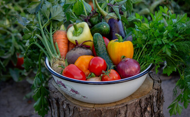 Poster - vegetables in a bowl on a hemp. Bio healthy food. Organic vegetables