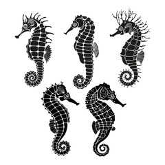 Silhouettes of a seahorse on a white background. Vector collection. Side view of black seahorse. Great for logos, cards, banners, posters, cards, menu decoration,  printing and textiles.