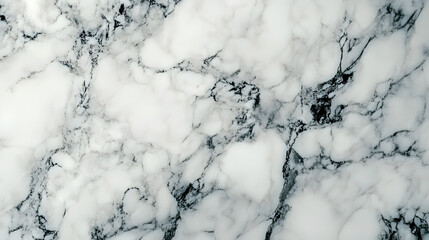 Poster - White and black marble texture background