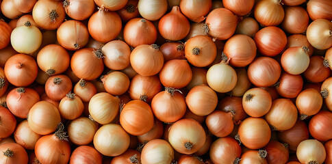 Wall Mural - Onions top shot close up pattern texture background