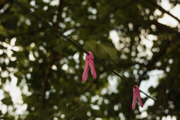 two pink buckles for drying clothes, hanging on a rope