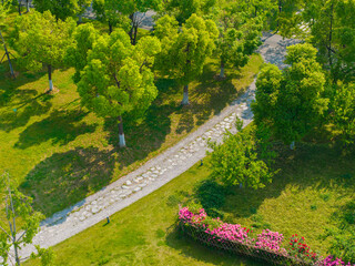 Summer scenery of Wuhan East Lake Scenic Area