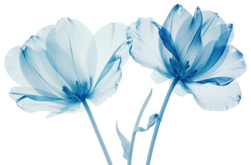 Wall Mural - Delicate translucent blue flowers