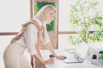 Poster - Photo of attractive young woman work netbook drink coffee dressed stylish clothes business leader comfort beautiful office interior