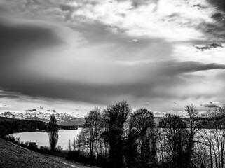 Black and white impression of lake Hallwil with trees in the foreground under an impressive sky. and alps in the background.