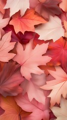 Wall Mural - A close up of many red leaves with a pink background