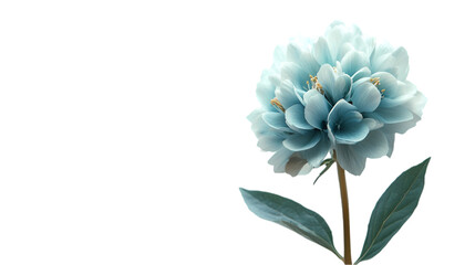 Canvas Print - Delicate Blue Flower Isolated on Black Background - Perfect for Design Projects