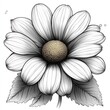 © Khritthithat - Simple line art of a daisy with evenly spaced petals, centered on a transparent background, [flower clipart], [petal design]