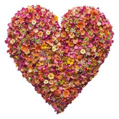 Wall Mural - PNG Flat flower human heart shape creativity freshness abundance.