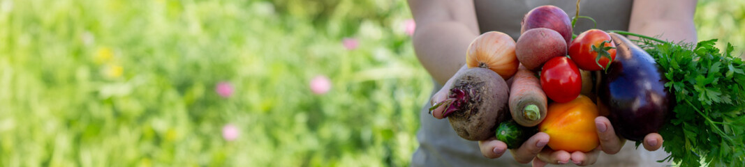 female farmer holding fresh vegetables in her hands on the background of the garden. Selective focus